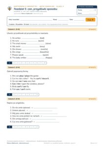 Kartkówka z gramatyki angielski klasa 4 unit 5: can — B–E — okładka