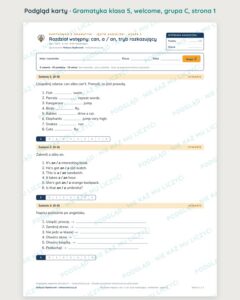 Kartkówka z gramatyki angielski klasa 5 welcome: can — B–E — podgląd karty, grupa C