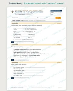 Kartkówka z gramatyki angielski klasa 6 unit 5: was / were — B–E — podgląd karty, grupa C