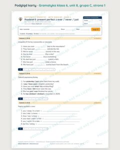 Kartkówka z gramatyki angielski klasa 6 unit 8 — grupy B–E — podgląd karty, grupa C
