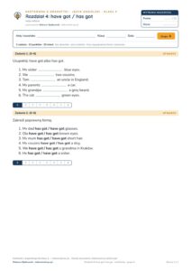 Angielski klasa 4 unit 4: gramatyka: have got / has got — kartkówka — okładka