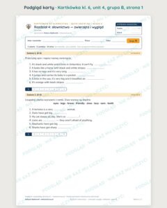 Angielski klasa 6 unit 4: słownictwo: zwierzęta i wygląd — kartkówka — podgląd karty, grupa B