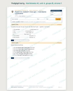 Angielski A1 unit 4: have got — twierdzenia i przeczenia — kartkówka — podgląd karty, grupa B