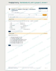 Angielski A1 unit 4: have got — twierdzenia i przeczenia — kartkówka — podgląd karty, grupa C