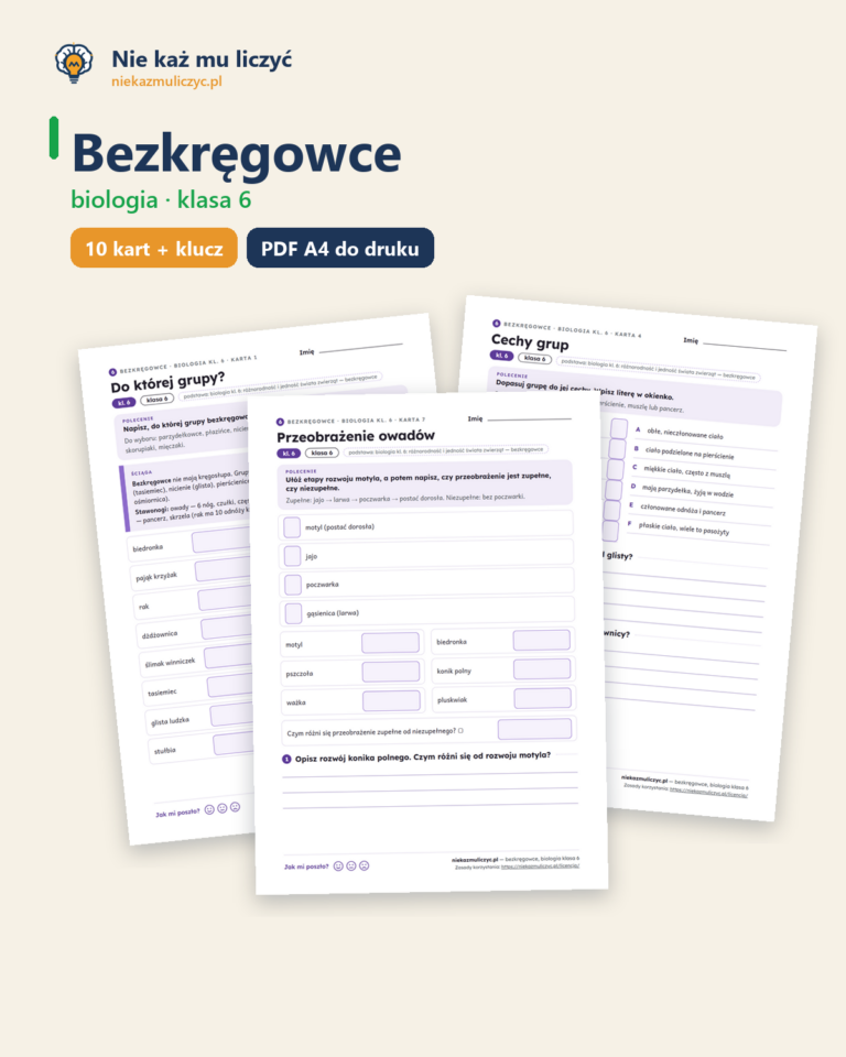 Bezkręgowce, biologia klasa 6 — 10 kart pracy PDF z kluczem — okładka