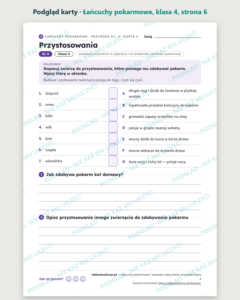 Łańcuchy pokarmowe, przyroda klasa 4 — 10 kart pracy PDF z kluczem — podgląd karty, strona 6