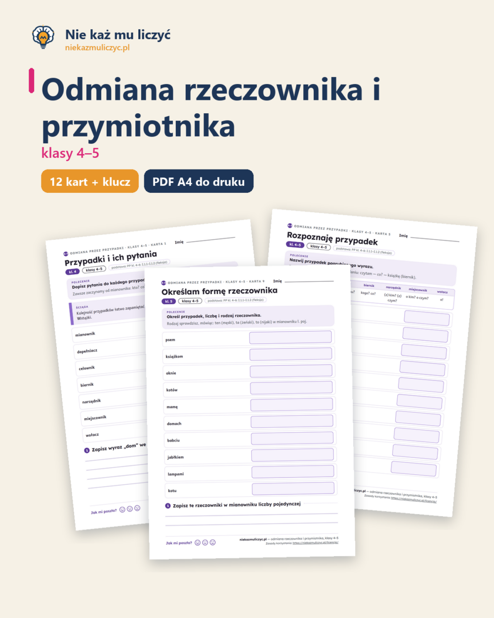 Odmiana rzeczownika i przymiotnika, klasy 4–5 — 12 kart z kluczem — okładka