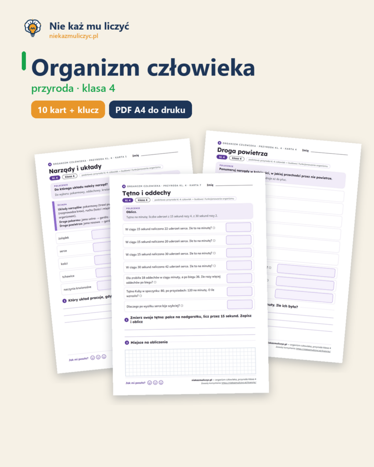 Organizm człowieka, przyroda klasa 4 — 10 kart pracy PDF z kluczem — okładka