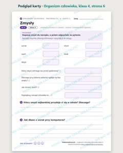 Organizm człowieka, przyroda klasa 4 — 10 kart pracy PDF z kluczem — podgląd karty, strona 6