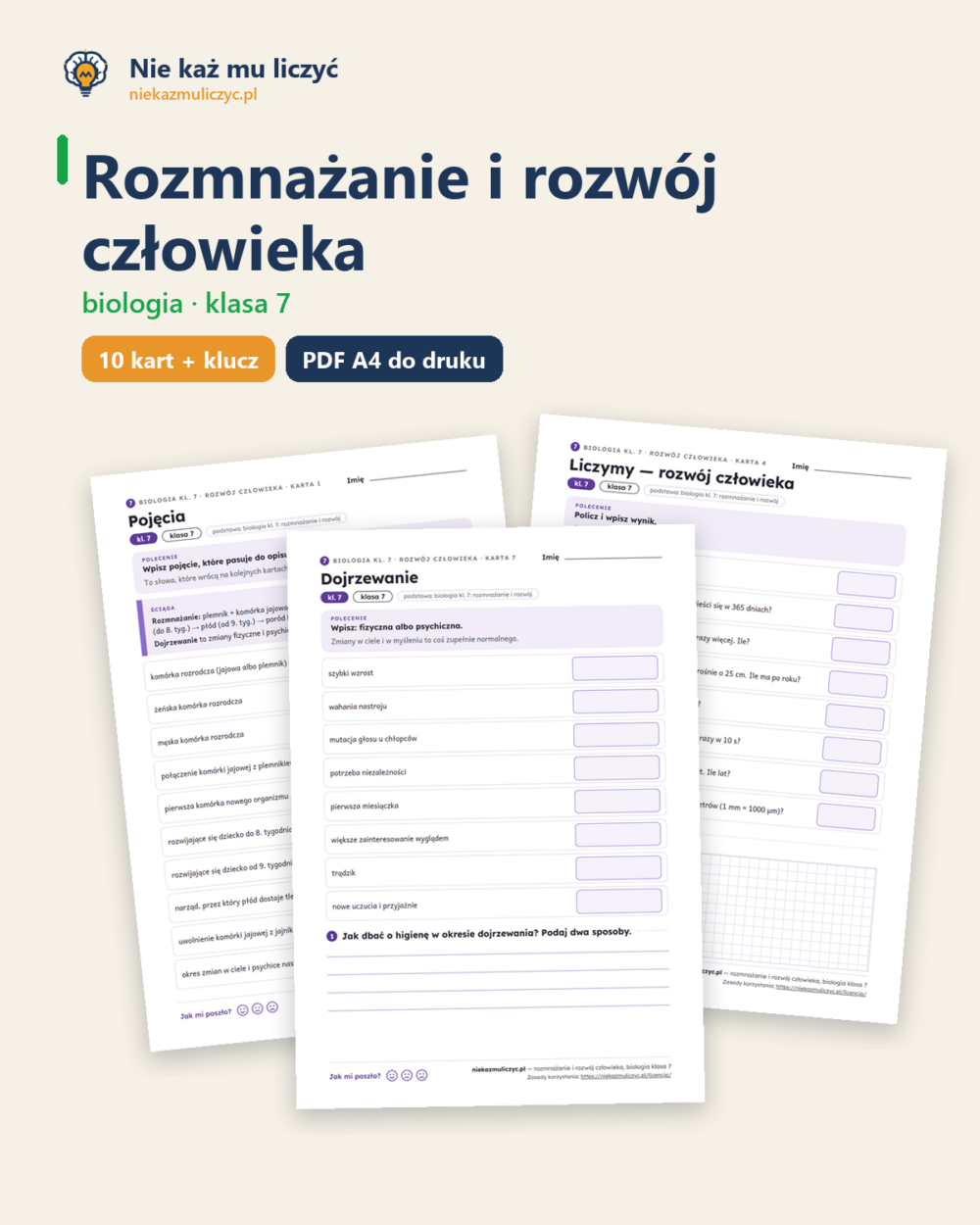 Rozmnażanie i rozwój człowieka, biologia kl. 7 — 10 kart PDF z kluczem — okładka