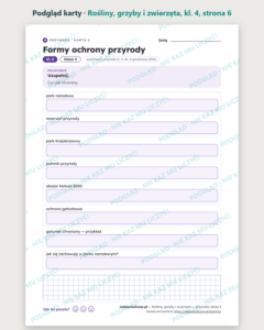 Rośliny, grzyby i zwierzęta — przyroda, klasa 4, 10 kart PDF — podgląd karty, strona 6