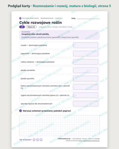 Rozmnażanie i rozwój — matura z biologii — 8 kart PDF z kluczem — podgląd karty, strona 5