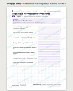 Wydalanie i osmoregulacja — matura z biologii — 10 kart PDF z kluczem — podgląd karty, strona 6