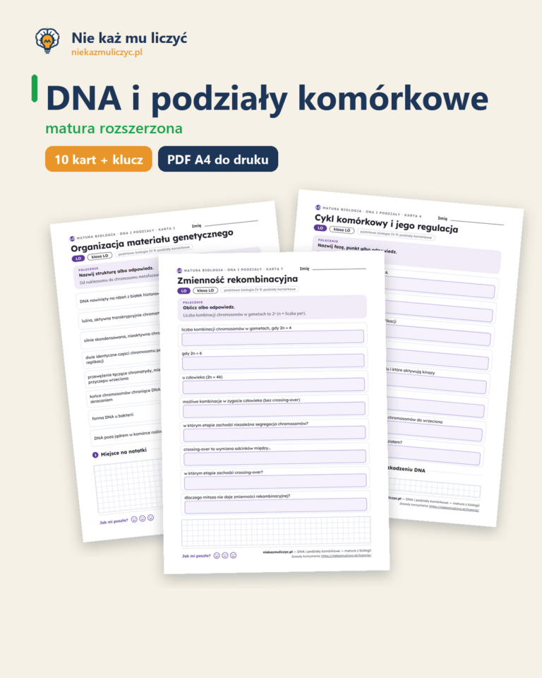 DNA i podziały komórkowe — matura z biologii — 10 kart PDF z kluczem — okładka
