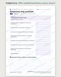 DNA i podziały komórkowe — matura z biologii — 10 kart PDF z kluczem — podgląd karty, strona 6