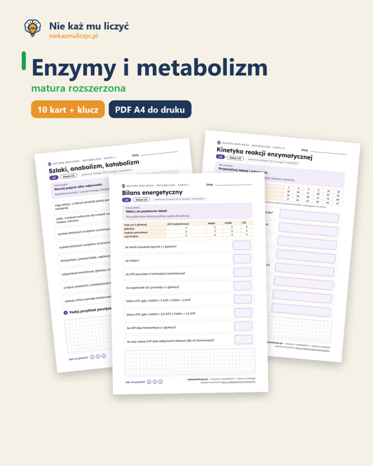 Enzymy i metabolizm — matura z biologii — 10 kart PDF z kluczem — okładka