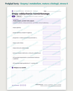 Enzymy i metabolizm — matura z biologii — 10 kart PDF z kluczem — podgląd karty, strona 6