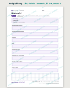 Oko, światło i soczewki — przyroda, klasy 5–6, 10 kart PDF — podgląd karty, strona 6