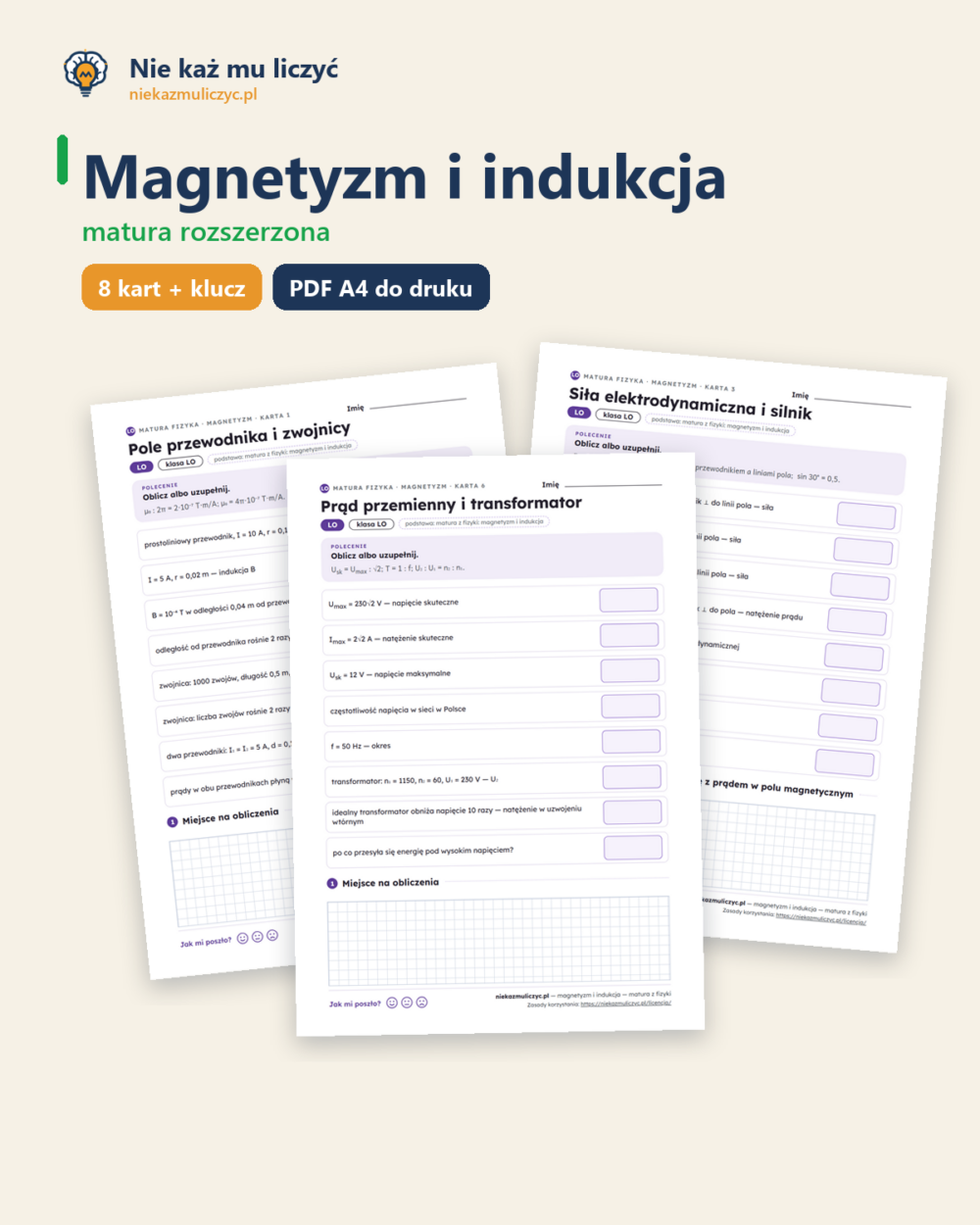 Magnetyzm i indukcja — matura z fizyki — 8 kart PDF z kluczem — okładka