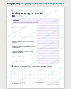 Grzyby i protisty — matura z biologii — 10 kart PDF z kluczem — podgląd karty, strona 6