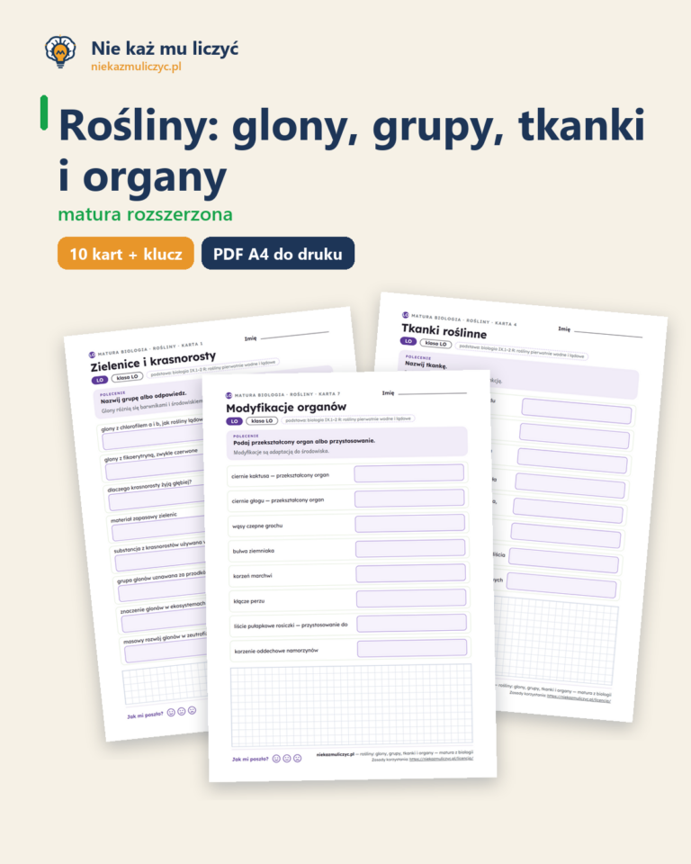 Rośliny: grupy, tkanki i organy, matura z biologii — 10 kart PDF — okładka