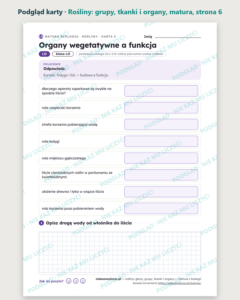 Rośliny: grupy, tkanki i organy, matura z biologii — 10 kart PDF — podgląd karty, strona 6