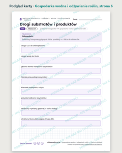Gospodarka wodna i odżywianie roślin, matura z biologii — 10 kart PDF — podgląd karty, strona 6
