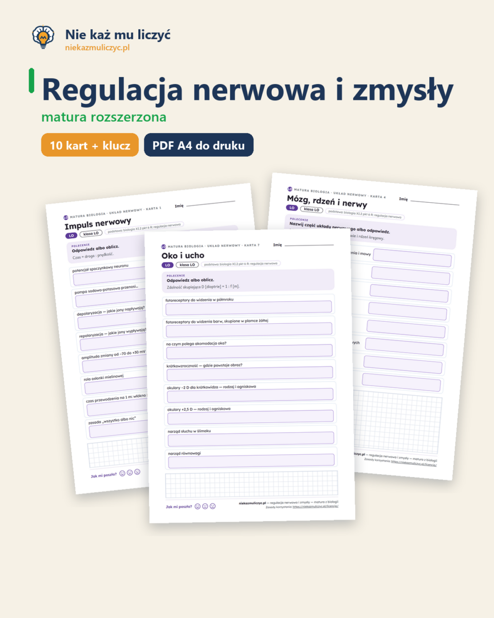 Regulacja nerwowa i zmysły — matura z biologii — 10 kart PDF z kluczem — okładka