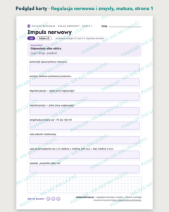 Regulacja nerwowa i zmysły — matura z biologii — 10 kart PDF z kluczem — podgląd karty, strona 1