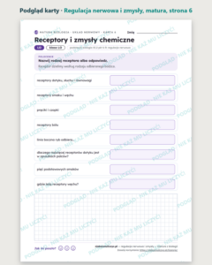 Regulacja nerwowa i zmysły — matura z biologii — 10 kart PDF z kluczem — podgląd karty, strona 6