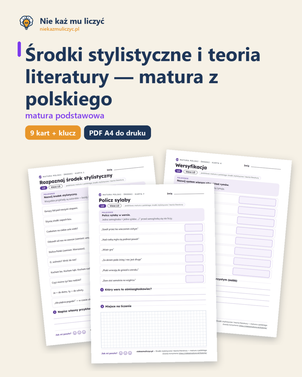 Środki stylistyczne i teoria literatury, matura — 9 kart PDF z kluczem — okładka