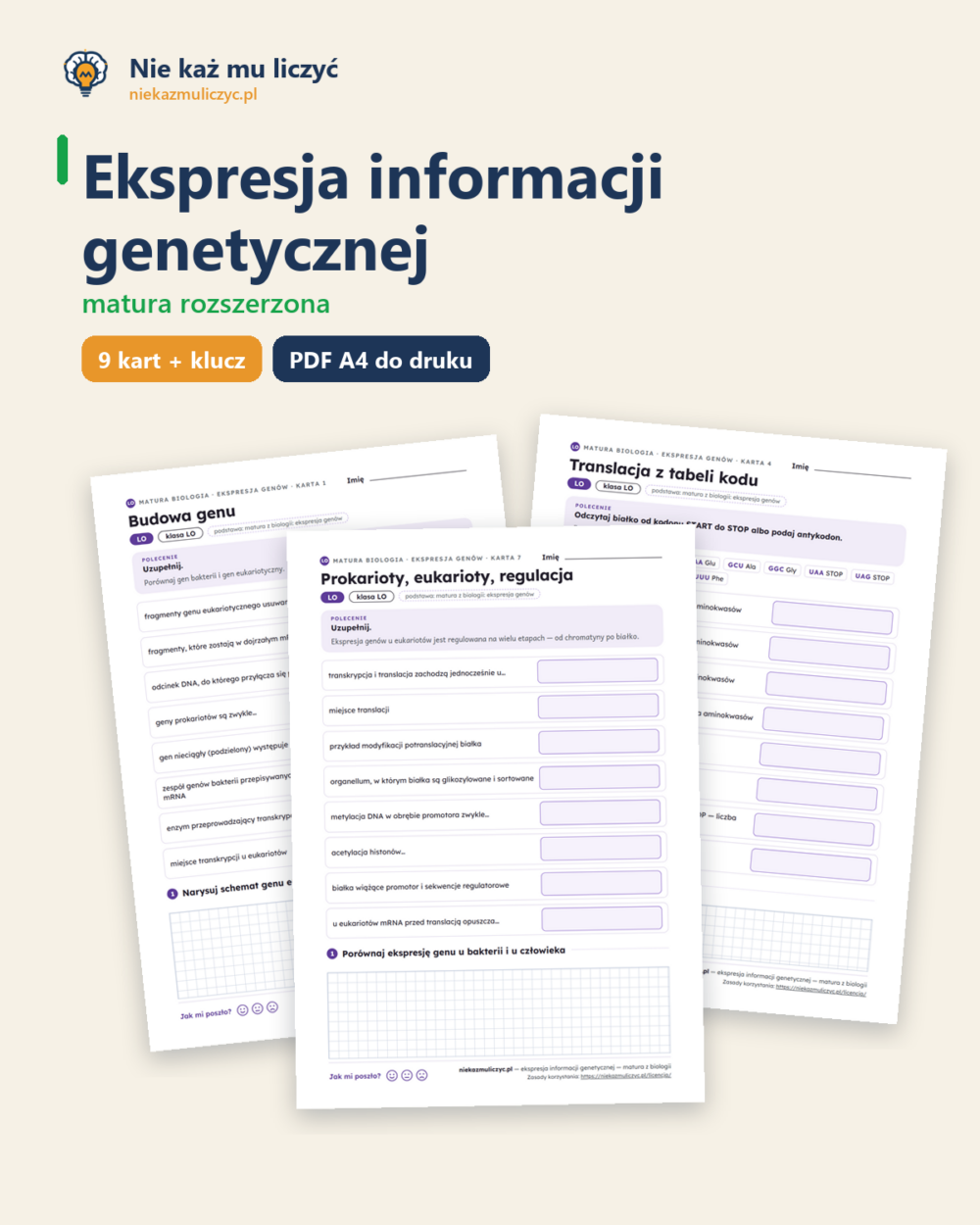 Ekspresja informacji genetycznej, matura z biologii — 9 kart PDF — okładka
