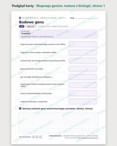 Ekspresja informacji genetycznej, matura z biologii — 9 kart PDF — podgląd karty, strona 1