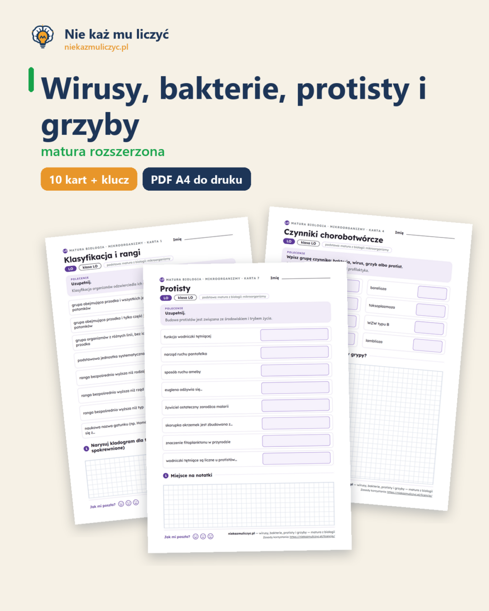 Wirusy, bakterie, protisty i grzyby, matura z biologii — 10 kart PDF — okładka