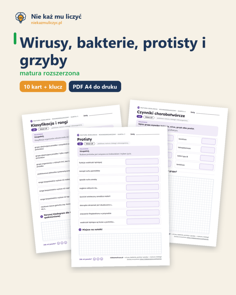 Wirusy, bakterie, protisty i grzyby, matura z biologii — 10 kart PDF — okładka