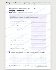 Wirusy, bakterie, protisty i grzyby, matura z biologii — 10 kart PDF — podgląd karty, strona 6