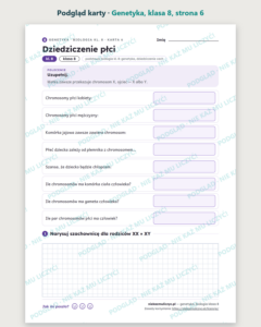 Genetyka, biologia klasa 8 — 10 kart pracy PDF z kluczem — podgląd karty, strona 6