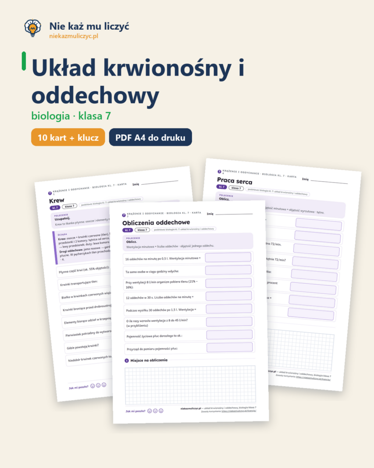 Układ krwionośny i oddechowy, biologia klasa 7 — 10 kart PDF — okładka