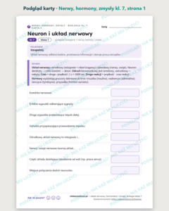 Układ nerwowy, hormonalny i zmysły, biologia klasa 7 — 10 kart PDF — podgląd karty, strona 1