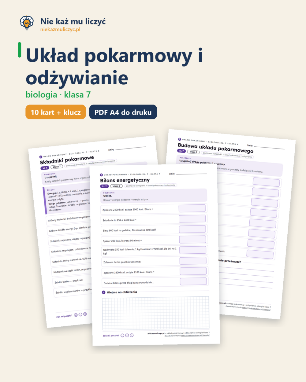 Układ pokarmowy i odżywianie, biologia klasa 7 — 10 kart PDF — okładka