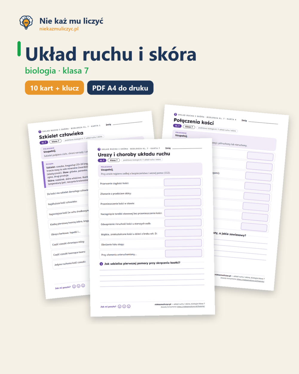 Układ ruchu i skóra, biologia klasa 7 — 10 kart pracy PDF z kluczem — okładka