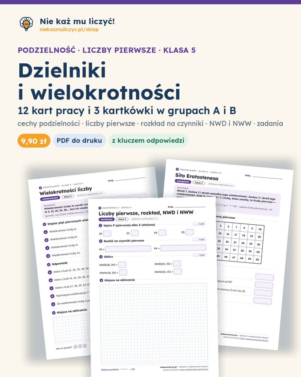 Dzielniki i wielokrotności, NWD i NWW, klasa 5 — 12 kart pracy PDF z kluczem — okładka