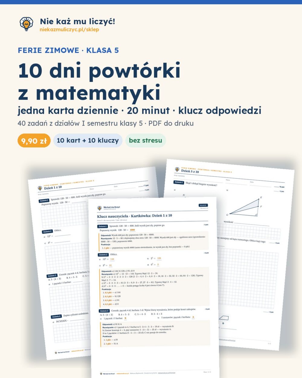 Ferie zimowe: 10 dni powtórki z matematyki, klasa 5 — PDF z kluczem — okładka