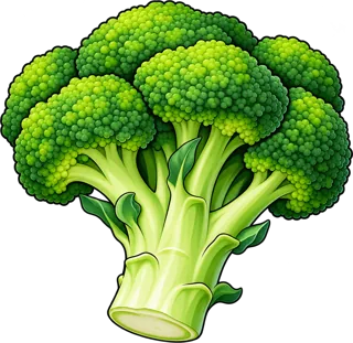 broccoli — brokuł