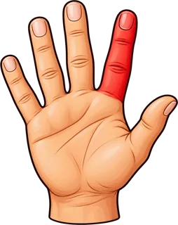finger — palec