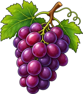 grapes — winogrona