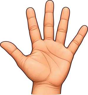 hand — dłoń