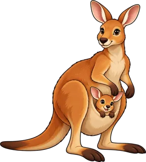 kangaroo — kangur