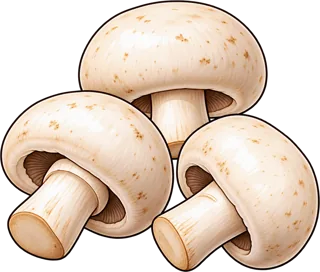 mushrooms — grzyby