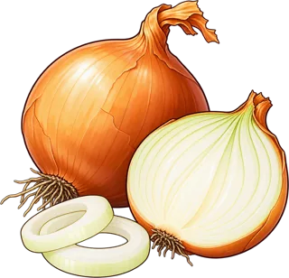 onion — cebula